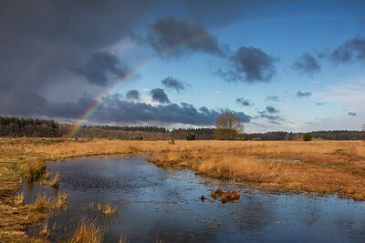 BUITEN BEELD Foto: 432029