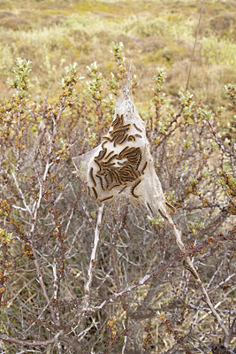 BUITEN BEELD Foto: 432036