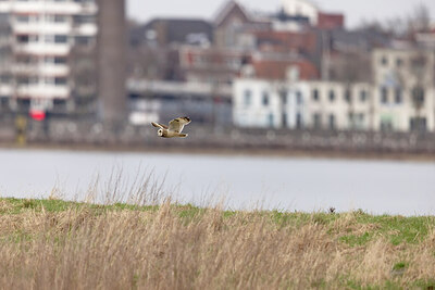 BUITEN BEELD Foto: 432051