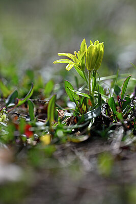 BUITEN BEELD Foto: 432057