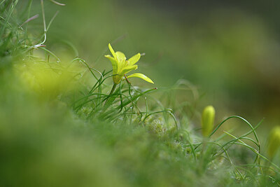 BUITEN BEELD Foto: 432066