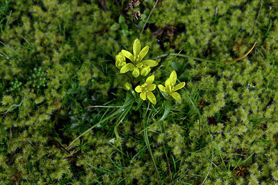 BUITEN BEELD Foto: 432074