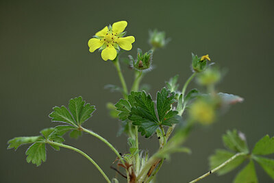 BUITEN BEELD Foto: 432079