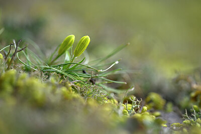 BUITEN BEELD Foto: 432084