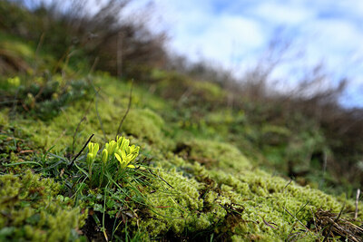 BUITEN BEELD Foto: 432089