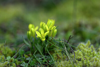 BUITEN BEELD Foto: 432094