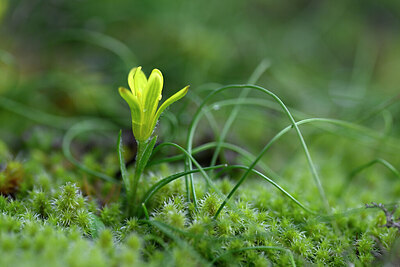 BUITEN BEELD Foto: 432096