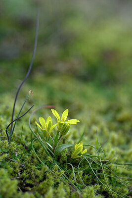 BUITEN BEELD Foto: 432099