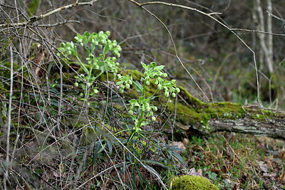 BUITEN BEELD Foto: 432124