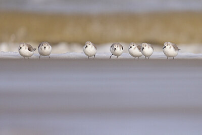 BUITEN BEELD Foto: 432192