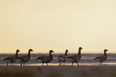 BUITEN BEELD Foto: 432200