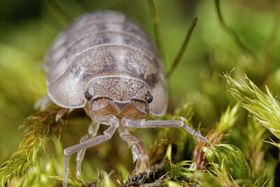 BUITEN BEELD Foto: 432244