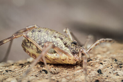 BUITEN BEELD Foto: 432257