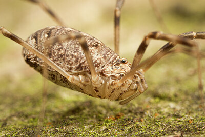 BUITEN BEELD Foto: 432265