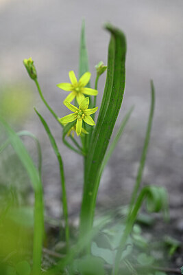 BUITEN BEELD Foto: 432342