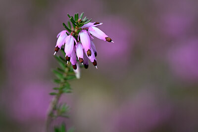 BUITEN BEELD Foto: 432349