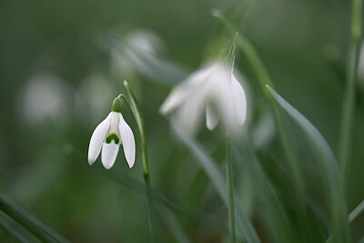 BUITEN BEELD Foto: 432351