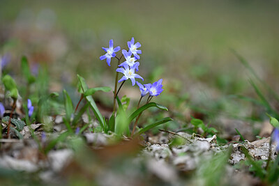 BUITEN BEELD Foto: 432353