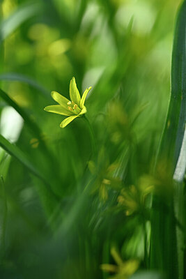 BUITEN BEELD Foto: 432368