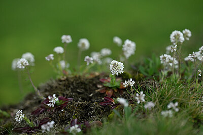 BUITEN BEELD Foto: 432480