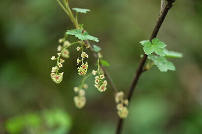 BUITEN BEELD Foto: 432482