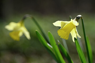 BUITEN BEELD Foto: 432489