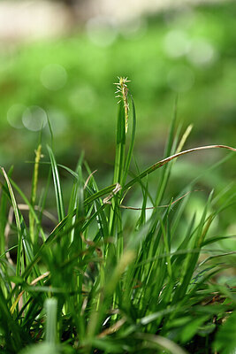 BUITEN BEELD Foto: 432499