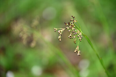 BUITEN BEELD Foto: 432507