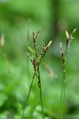 BUITEN BEELD Foto: 432514