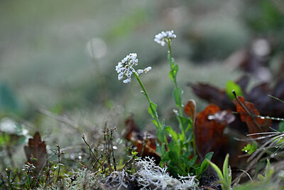 BUITEN BEELD Foto: 432515