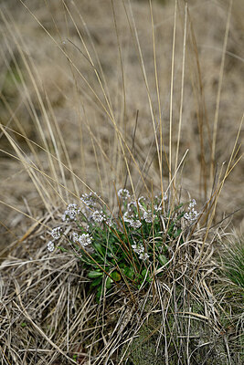 BUITEN BEELD Foto: 432529