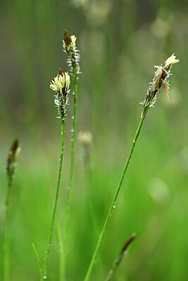 BUITEN BEELD Foto: 432543