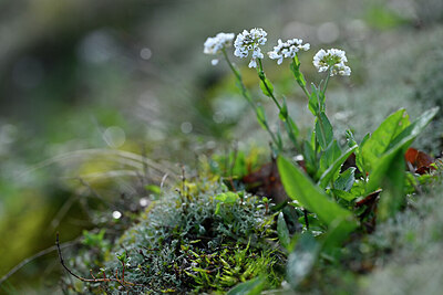 BUITEN BEELD Foto: 432548