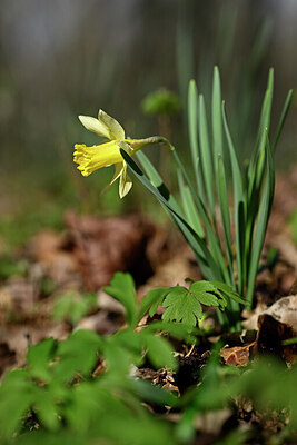 BUITEN BEELD Foto: 432552