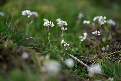 BUITEN BEELD Foto: 432562