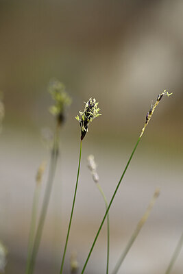 BUITEN BEELD Foto: 432643