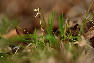 BUITEN BEELD Foto: 432649