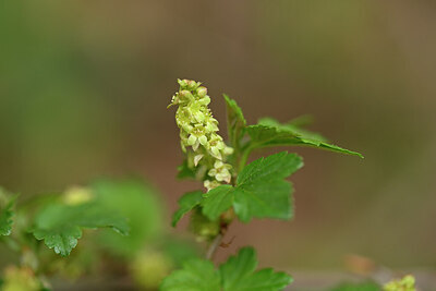 BUITEN BEELD Foto: 432662