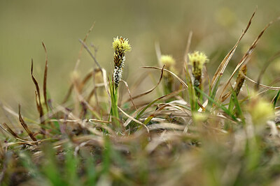 BUITEN BEELD Foto: 432665