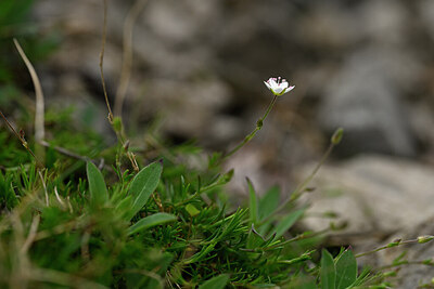 BUITEN BEELD Foto: 432666