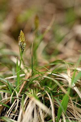 BUITEN BEELD Foto: 432670