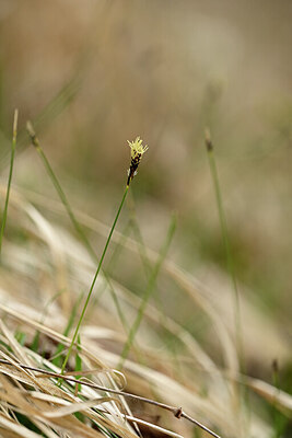 BUITEN BEELD Foto: 432679