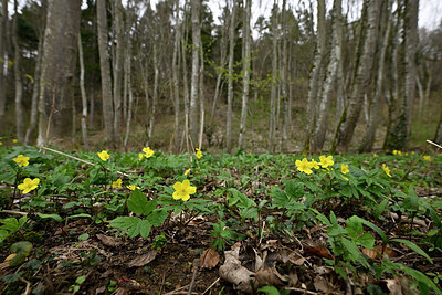 BUITEN BEELD Foto: 432682