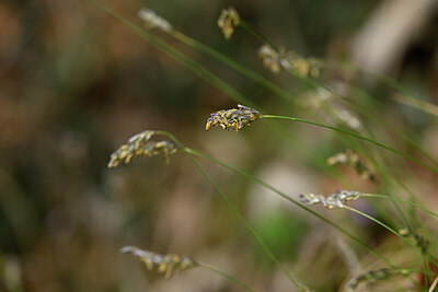 BUITEN BEELD Foto: 432685