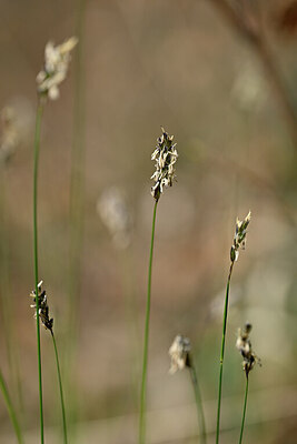 BUITEN BEELD Foto: 432686