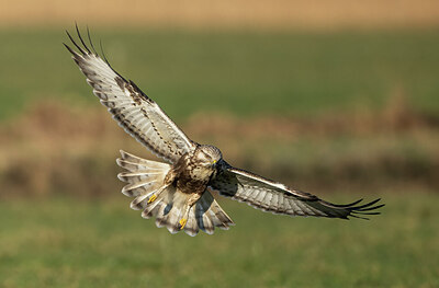 BUITEN BEELD Foto: 432689