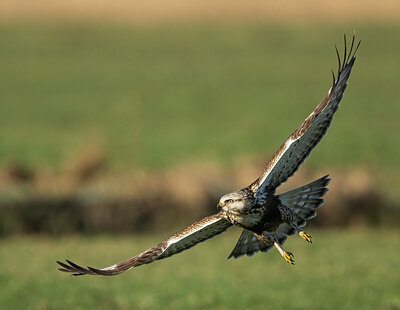 BUITEN BEELD Foto: 432698