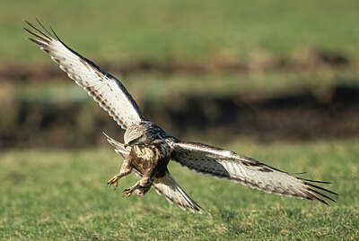 BUITEN BEELD Foto: 432699