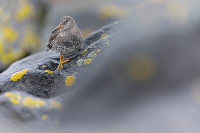 BUITEN BEELD Foto: 432789