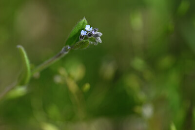 BUITEN BEELD Foto: 432813